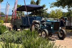 Cape Town: Stellenbosch Hop-On Hop-Off Tractor Wine Tour