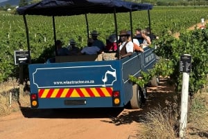 Cape Town: Stellenbosch Hop-On Hop-Off Tractor Wine Tour