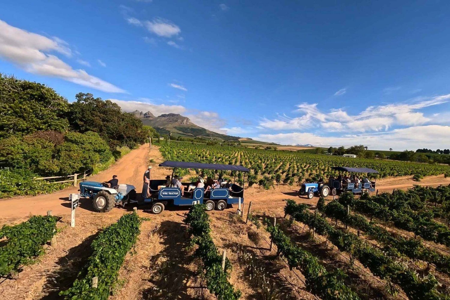 Kapstadt: Stellenbosch Weinverkostung Traktor Tour