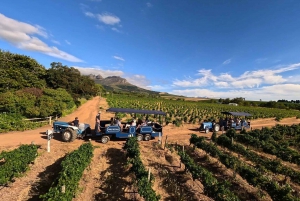 Le Cap : dégustation de vin de Stellenbosch en tracteur