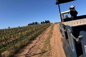 Le Cap : dégustation de vin de Stellenbosch en tracteur