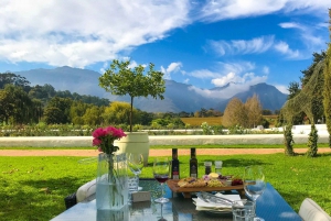 Le Cap : dégustation de vin de Stellenbosch en tracteur