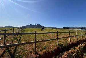 Le Cap : dégustation de vin de Stellenbosch en tracteur