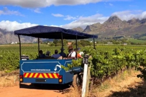 Le Cap : dégustation de vin de Stellenbosch en tracteur