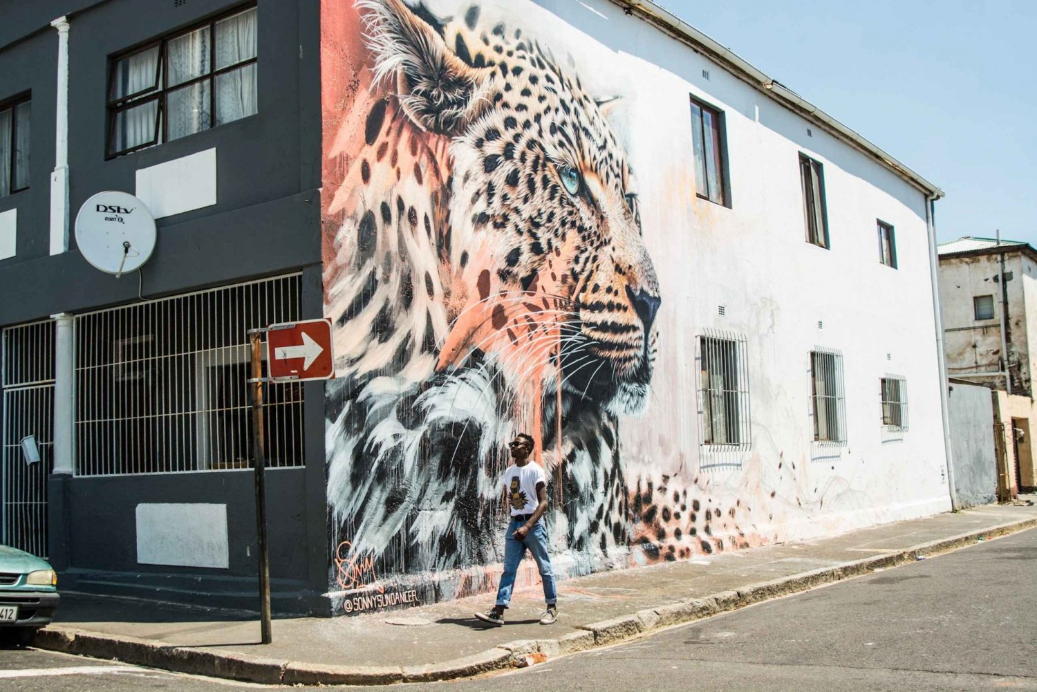 Città del Capo: Scopri l'arte di strada della città con una guida locale