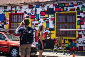 Kaapstad: Wandeltour over straatkunst