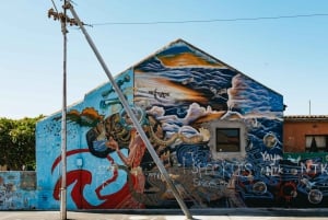 Ciudad del Cabo: Tour a pie por el arte callejero
