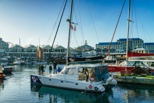 Kapstadt: Sonnenuntergangs-Bootstour mit 3-Gänge-Abendessen und Champagner