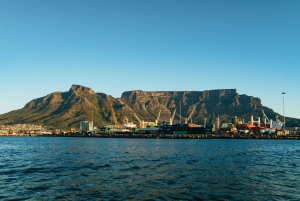 Cape Town: Sunset Champagne Cruise and 3-Course Dinner
