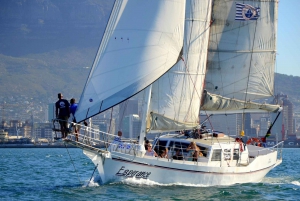 Cape Town: Sunset Champagne Cruise and 3-Course Dinner