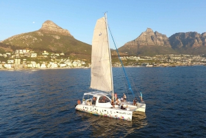 Cape Town: Sunset Cruise by Catamaran to Table Bay