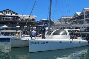 Cidade do Cabo: cruzeiro ao pôr do sol de catamarã até Table Bay
