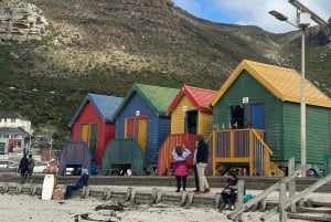 Cape Town: Surf Lesson, Scenic Drive, & Sunset Picnic