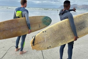 Cape Town: Surf Lesson, Scenic Drive, & Sunset Picnic