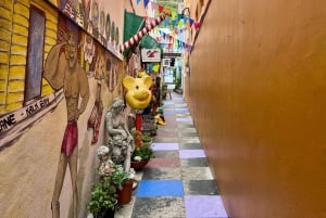 Cape Town: Surf Lesson, Scenic Drive, & Sunset Picnic