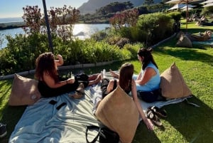 Cape Town: Surf Lesson, Scenic Drive, & Sunset Picnic