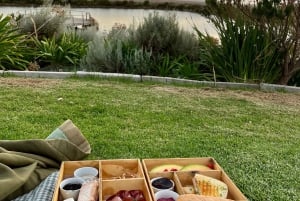 Cape Town: Surf Lesson, Scenic Drive, & Sunset Picnic