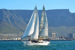 Cape Town: Table Bay 1-Hour Cruise on the Schooner Esperance