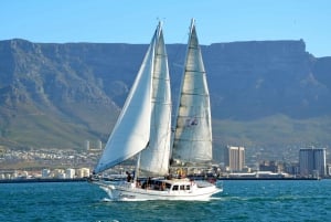 Cape Town: Table Bay 1-Hour Cruise on the Schooner Esperance