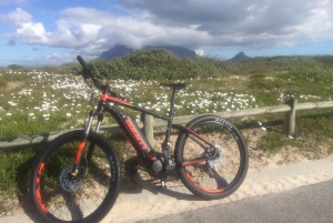 Cape Town: Table Bay Coastal E-bike Tour