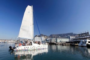 Kapstaden: kryssning i bordbukten med katamaran