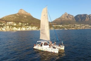 Kapstadt: Table Bay Cruise mit dem Katamaran