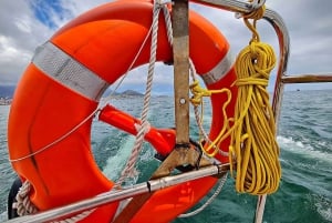 Le Cap : Croisière sur la baie de la Table en catamaran
