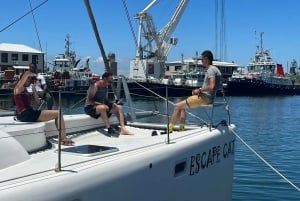 Ciudad del Cabo: Crucero en catamarán por la bahía de la Mesa