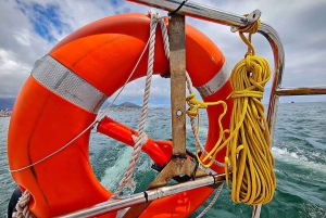 Kapstaden: kryssning i bordbukten med katamaran