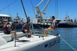 Kapstaden: kryssning i bordbukten med katamaran