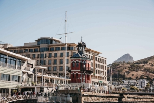 Cape Town: Katamarankrydstogt i Table Bay om morgenen