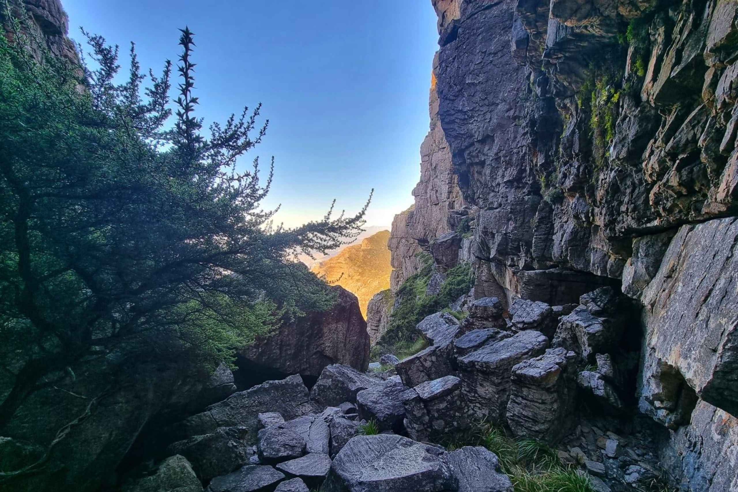Cape Town: Table Mountain Abseil and Hike