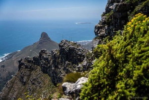 Cape Town: Table Mountain Abseil and Hike