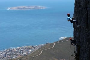Cape Town: Table Mountain Abseiling Experience