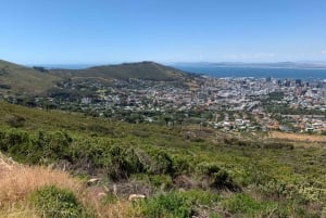 Le Cap : Billet pour le téléphérique de Table Mountain