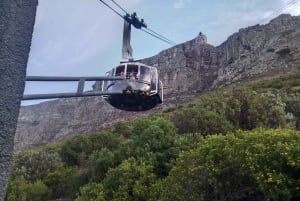 Kapstadt: Table Mountain und Cape Point Guided Tour