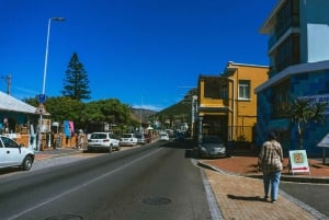 Cape Town: Taffelbjerget og Castle of Good Hope-tur