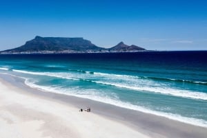 Cape Town: Taffelbjerget og Castle of Good Hope-tur