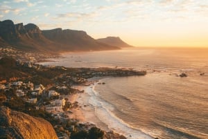 Cape Town: Taffelbjerget og Castle of Good Hope-tur