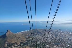 Città del Capo: Table Mountain e Pinguini Tour privato guidato