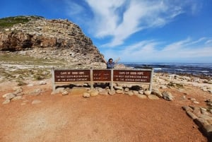 Le Cap : visite guidée privée de la montagne de la Table et des pingouins