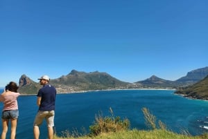 Table Mountain and Penguins Private Guided Tour