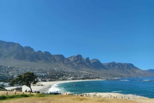 Cape Town: Table Mountain and Penguins Private Guided Tour