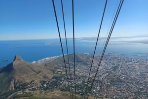 Cape Town: Table Mountain and Penguins Private Guided Tour