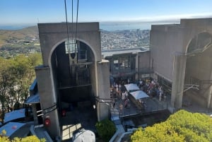 Cape Town: Table Mountain and Penguins Private Guided Tour