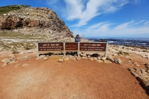 Cape Town: Table Mountain and Penguins Private Guided Tour