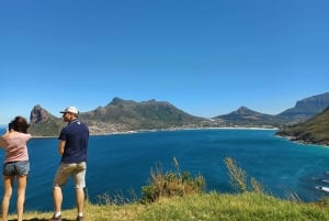 Cape Town: Table Mountain and Penguins Private Guided Tour
