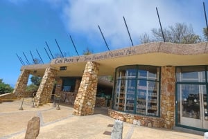 Cape Town: Table Mountain and Penguins Private Guided Tour