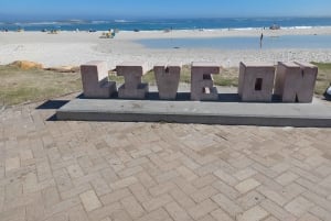 Cape Town: Table Mountain and Penguins Private Guided Tour