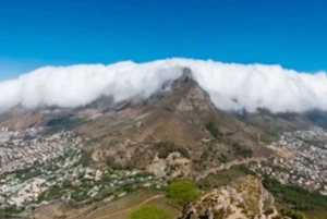 Кейптаун: Столовая гора и остров Роббен Экскурсия с гидом